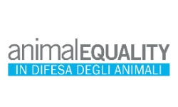 AnimalEquality