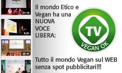 Vblog-veganokTV